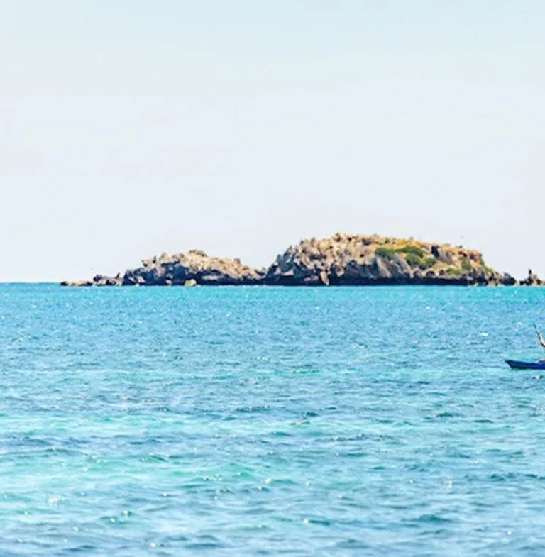 Kayaking in Shoalwater Islands Marine Park