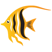 Angel fish