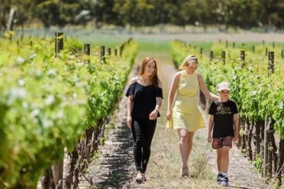 Family walking through Karnup vineyards