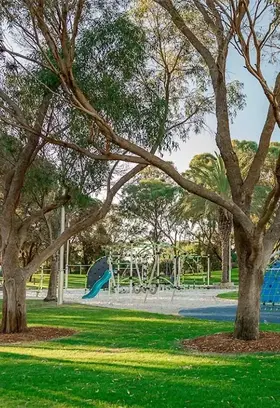 Trees.jpg