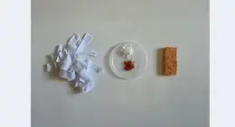 a white and red powder on a plate next to a piece of paper