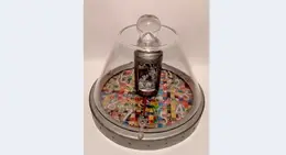 a glass dome with a silver object on it