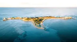 Penguin-Island.jpg