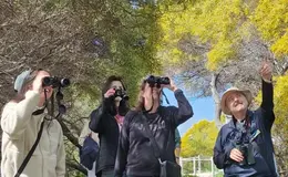 a group of people looking through binoculars